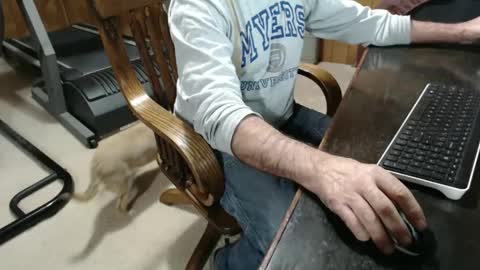 billy471 online show from January 10, 12:17 am