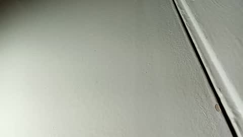 Bill online show from January 19, 7:36 am