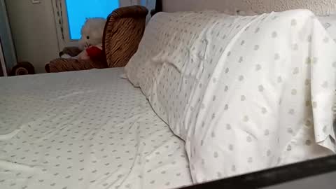 Bill online show from September 18, 9:55 am