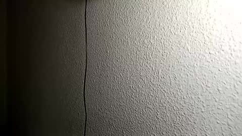 Bill online show from December 5, 10:01 am