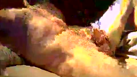 birdyboy795 online show from September 29, 10:27 pm