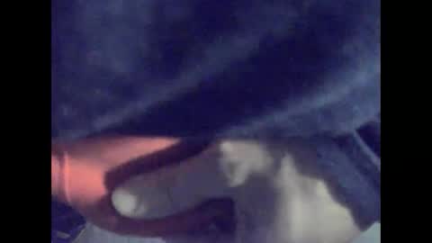 bitlierius online show from January 2, 3:51 pm