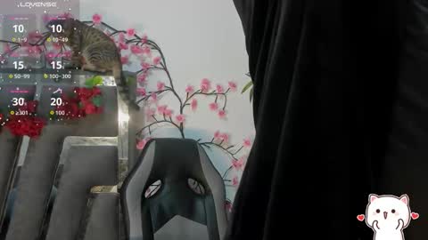 B L A C K  R O S E  online show from October 15, 11:40 am