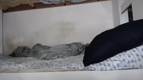 Blackguy720 online show from January 16, 11:27 pm