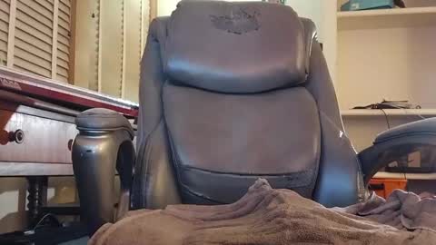 Snapshot of bnitehawk1234 chatting on December 11, 5:33 am harry cockins online show from December 11, 5:33 am