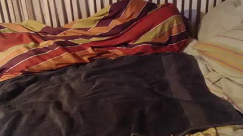 Bomm65 online show from November 5, 4:14 am