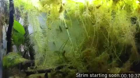 Booker Baxton online show from March 31, 2:57 am