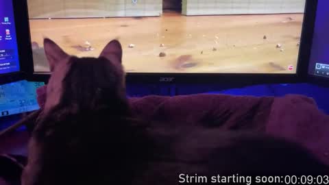 Booker Baxton online show from February 3, 3:59 am