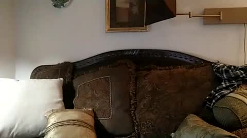 boredaf6678 online show from January 7, 1:28 am