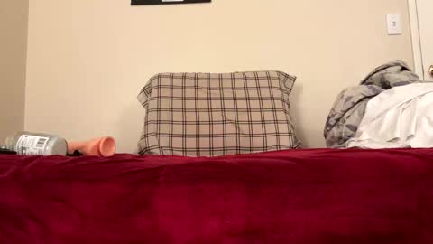 borednutts510 online show from October 6, 8:41 am