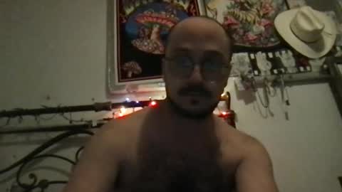 JD. online show from November 7, 8:50 am