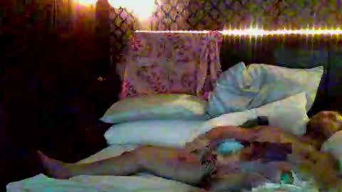 broncobilly429 online show from November 12, 7:58 am