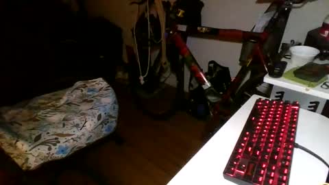 Brooklyn online show from February 24, 8:06 am