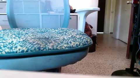 bruceb124u online show from September 26, 3:54 pm