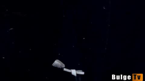 z...... online show from November 24, 11:28 pm