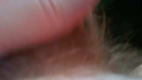 bullemoe online show from March 13, 5:59 am