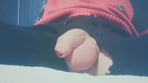 Dutch cock online show from January 21, 8:33 am