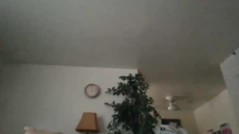 bwcwhiteboy94 online show from November 5, 12:01 am