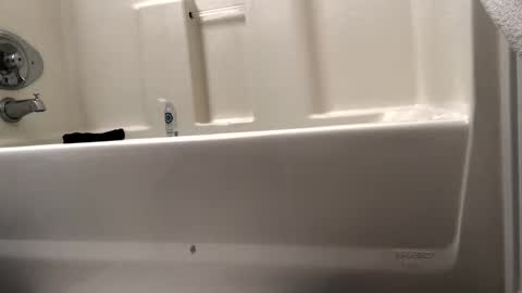 byrd2024 online show from February 15, 10:55 am