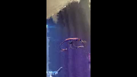 caage_steele online show from October 9, 4:01 pm