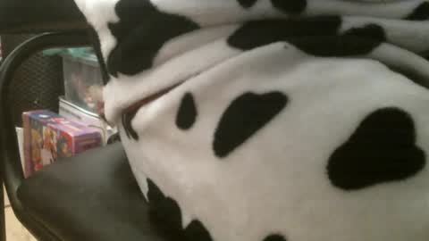 caballeropajero online show from March 25, 9:24 am