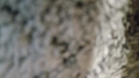 cable_guy46 online show from December 29, 9:52 pm