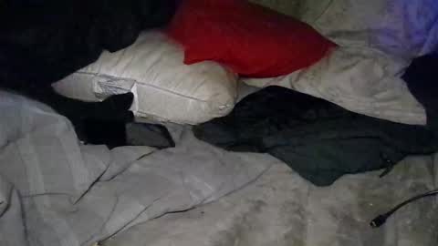 Snapshot of calisguitar chatting on January 2, 5:35 am Calisguitar online show from January 2, 5:35 am