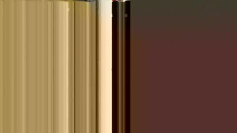 MxrtxnSxl online show from December 9, 2:08 pm