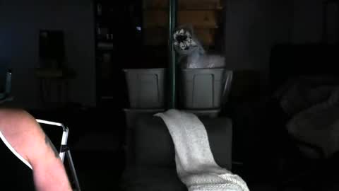 Carl online show from February 4, 8:02 am