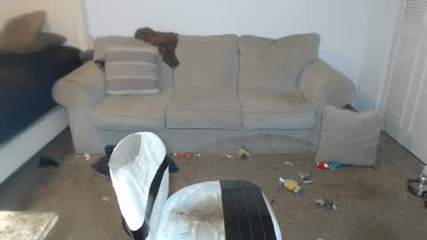 CasinoCam online show from December 12, 2:04 am