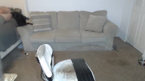 CasinoCam online show from January 5, 8:21 pm