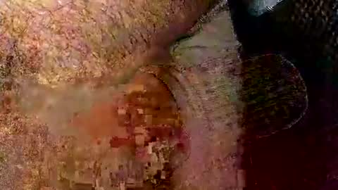 catdaddy179057 online show from March 15, 5:41 pm