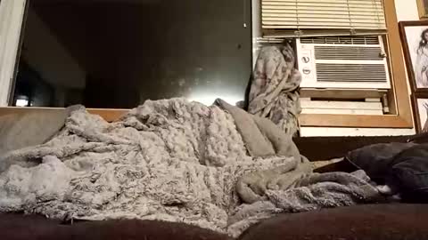 Chad420247 online show from February 11, 12:37 am