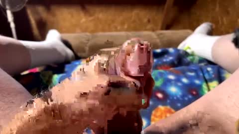 Snapshot of chasepeewee2 chatting on December 26, 6:43 pm chasepeewee2 online show from December 26, 6:43 pm