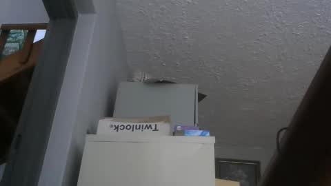 chaturbatordeluxe online show from November 26, 3:42 am