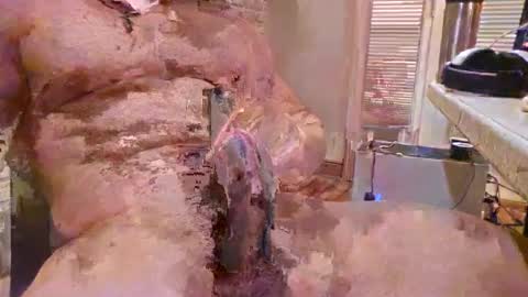 chaytay12 online show from February 16, 11:27 am