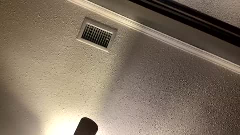 CHINO online show from January 11, 11:52 pm