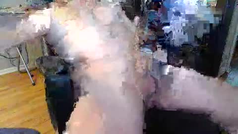 Snapshot of chiphoneman chatting on February 8, 2:49 pm chiphoneman online show from February 8, 2:49 pm