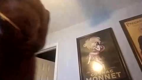 Chris online show from September 24, 2:11 am