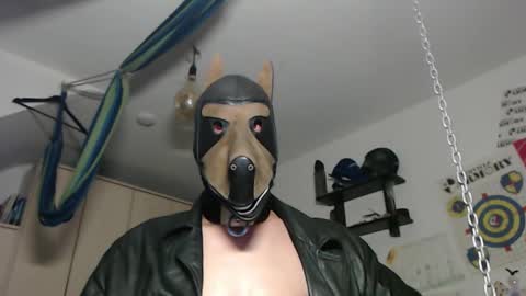 chrisdan_ online show from October 26, 2:57 am