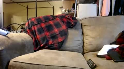 chrisintn online show from November 15, 1:07 am