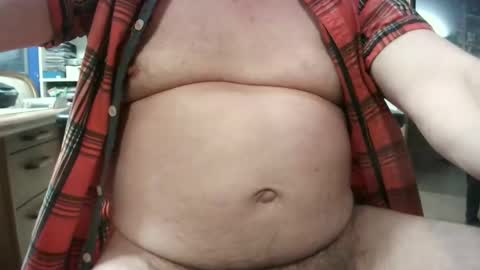 Circus Bear online show from January 9, 4:49 pm