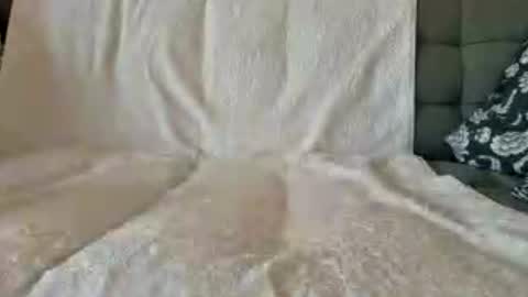 Cockvantage online show from August 1, 6:29 pm