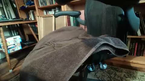 colchuck online show from April 9, 1:39 pm