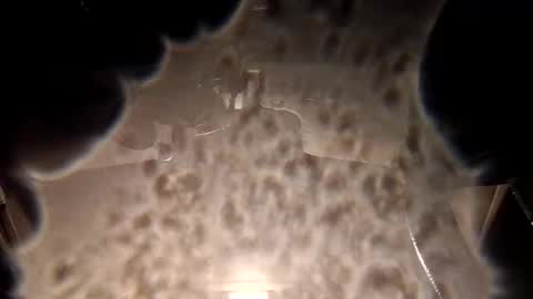 corbinroberts663 online show from October 22, 4:49 am