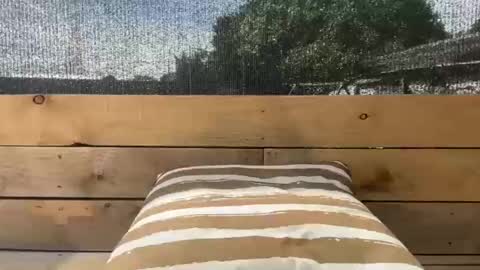 CountryLust69 online show from December 14, 9:55 pm