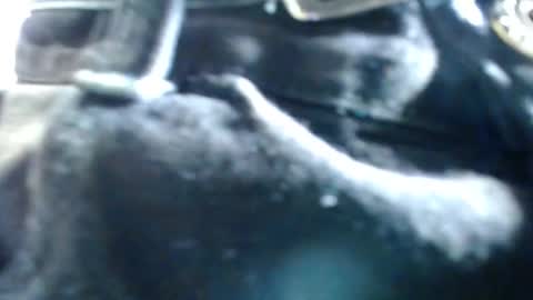 crismens online show from September 21, 6:41 pm