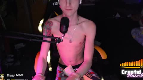 CryptidTwink online show from December 4, 6:22 am