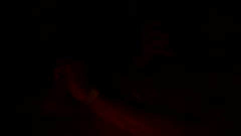 cumfiesta1 online show from October 17, 2:48 am