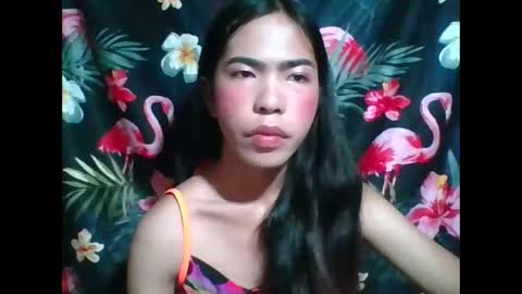 cumhill online show from November 25, 2:35 am